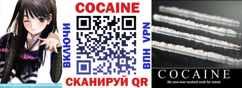 КОКАИН Fish Scale  как найти закладки  Камышин 