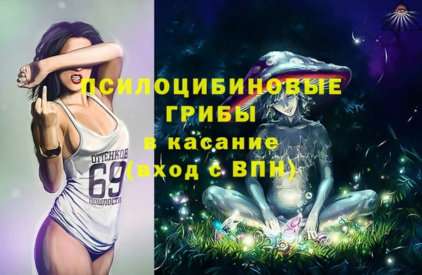 МДПВ Алексин