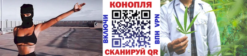 МАРИХУАНА план  магазин продажи наркотиков  OMG ссылка  Камышин 