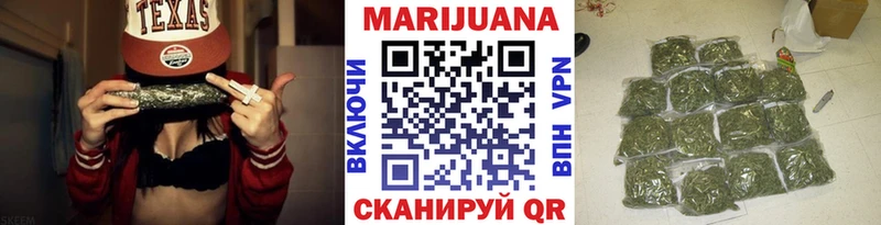 Конопля гибрид Камышин